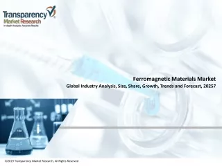 ferromagnetic materials market