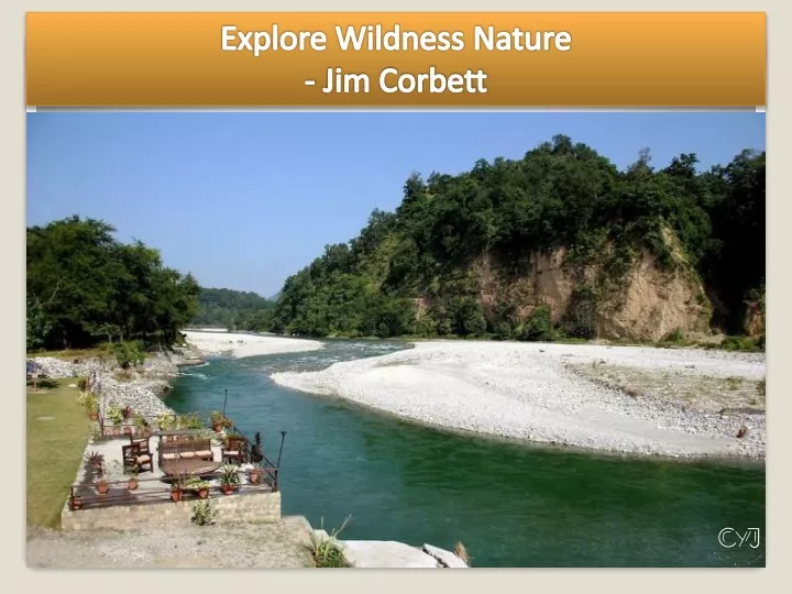 explore wildness nature jim corbett