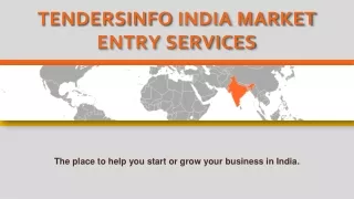 TendersInfo India Market Entry Services Overview