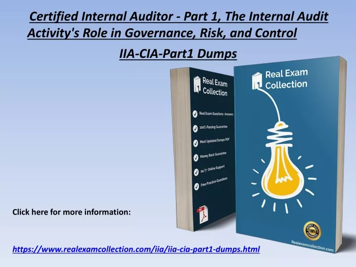 certified internal auditor part 1 the internal
