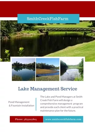 Lake Management Service