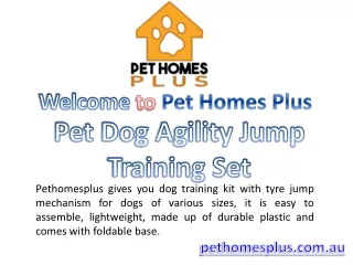 Pet Dog Training is easier and fun now