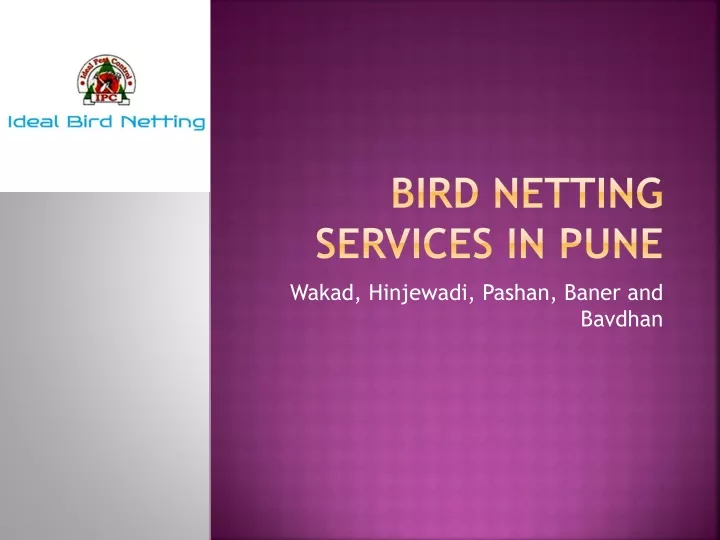 bird netting services in pune