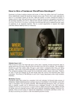 Hire the Best WordPress Developer - slide 1