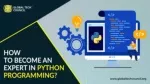 How to Become An Expert In Python Programming? - slide 1