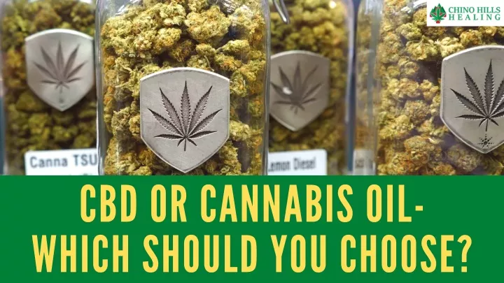 cbd or c a nn a bis oil which should you choose