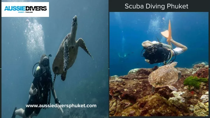 scuba diving phuket