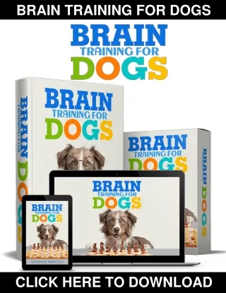 Brain Training For Dogs PDF, eBook by Adrienne Farricelli