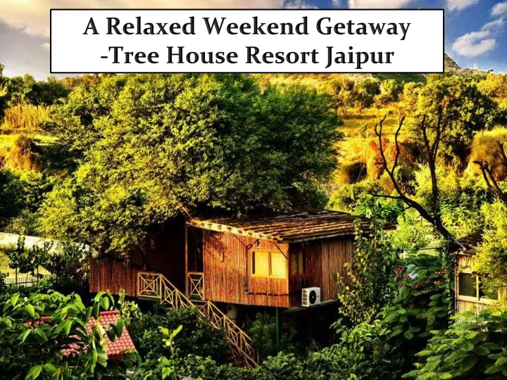 a relaxed weekend getaway tree house resort jaipur