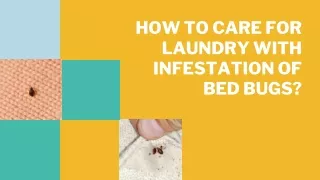 HOW TO CARE FOR LAUNDRY WITH INFESTATION OF BED BUGS