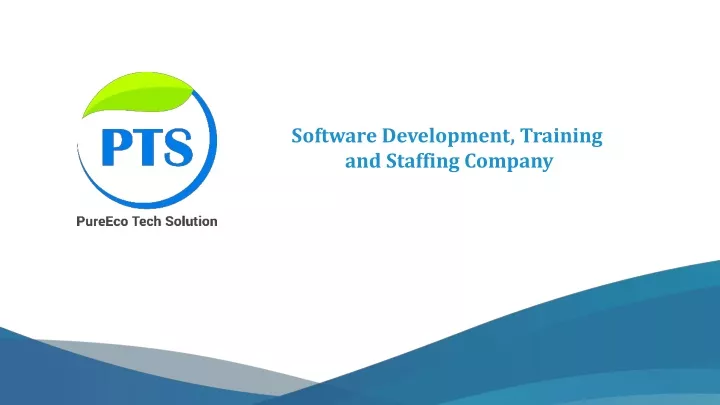 software development training and staffing company
