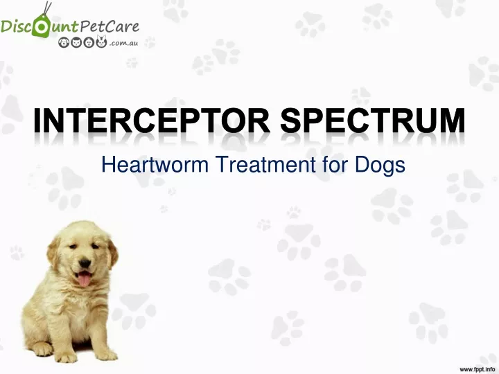 heartworm treatment for dogs