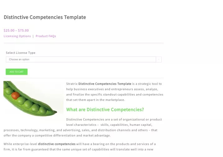 distinctive competencies template