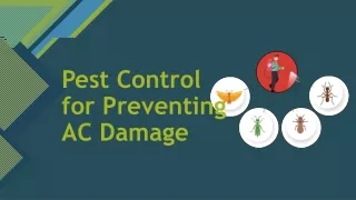 Pest Control - How to Protect your AC from Pests