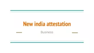 NEW INDIA BUSINESS CORPORATION