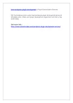 best wordpress plugin development & Plugin Customization Services - slide 1