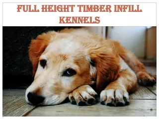 Full Height Timber Infill Kennels & River Side Puppies