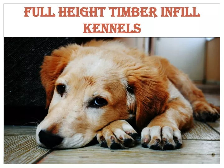 full height timber infill kennels