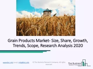 grain grain products market products market size