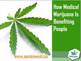 How Medical Marijuana Is Benefiting People