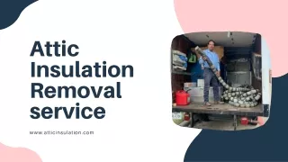attic insulation removal service