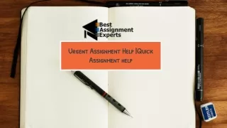 urgent assignment help quick assignment help