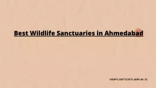 Best Wildlife Sanctuaries in Ahmedabad