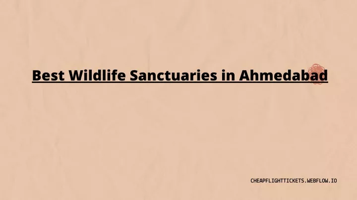 best wildlife sanctuaries in ahmedabad