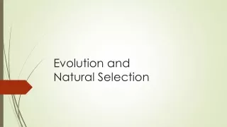 Natural Selection & Evolution Slides