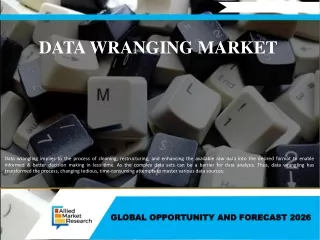 Data Wrangling Market Forecast Report by 2026