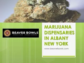 Marijuana Dispensaries in Albany New York - Beaver Bowls
