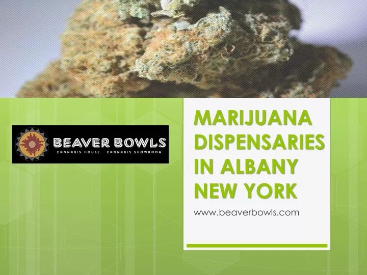 marijuana dispensaries in albany new york