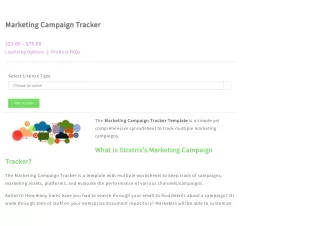 Marketing Campaign Tracker