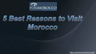 Best Reasons to Visit Morocco