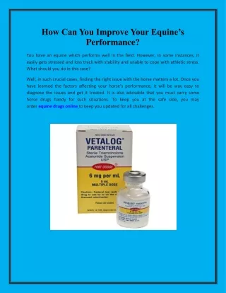 how can you improve your equine s performance