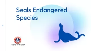 Seals Endangerd Species - Marine Conservation