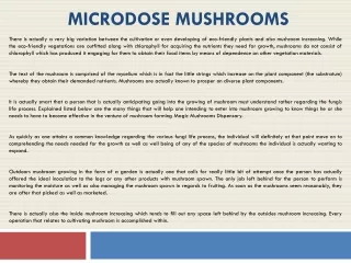 buy mushrooms online canada