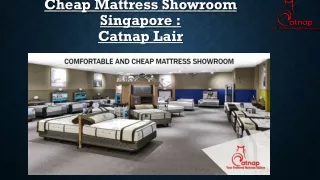 Cheap Mattress Showroom Singapore :Catnap Lair