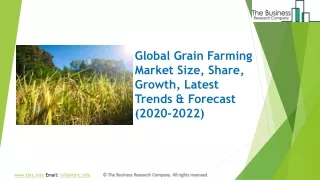 Grain Farming Market 2020 Growth And Trends