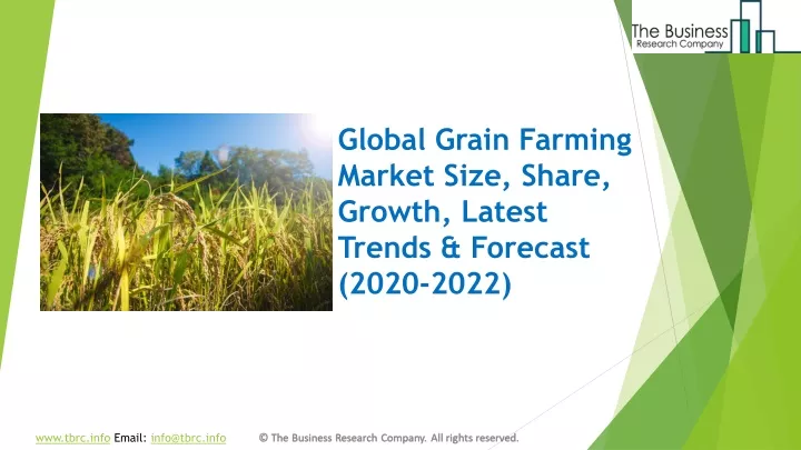 global grain farming market size share growth