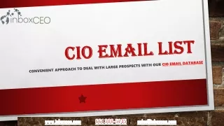 Convenient approach to deal with large prospects with our CIO Email Database
