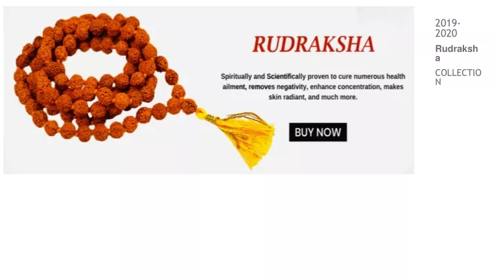 2019 2020 rudraksha collection