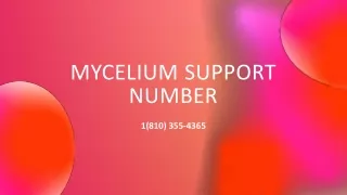 Mycelium Support Number【 ★1(810) 355-4365★ 】
