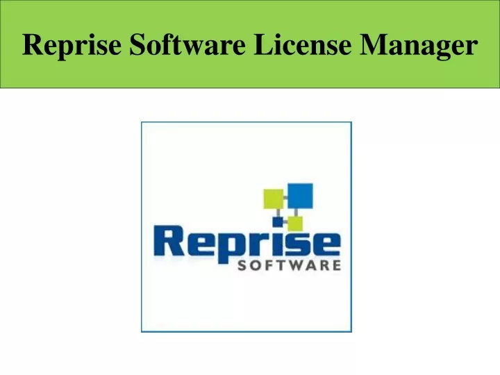 reprise software license manager