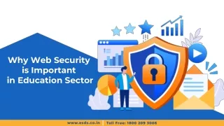 why web security is important in education sector