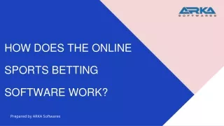 How does the Online Sports Betting Software work?
