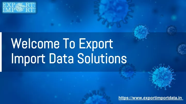 welcome to export import data solutions