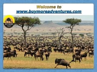 welcome to www buymoreadventures com