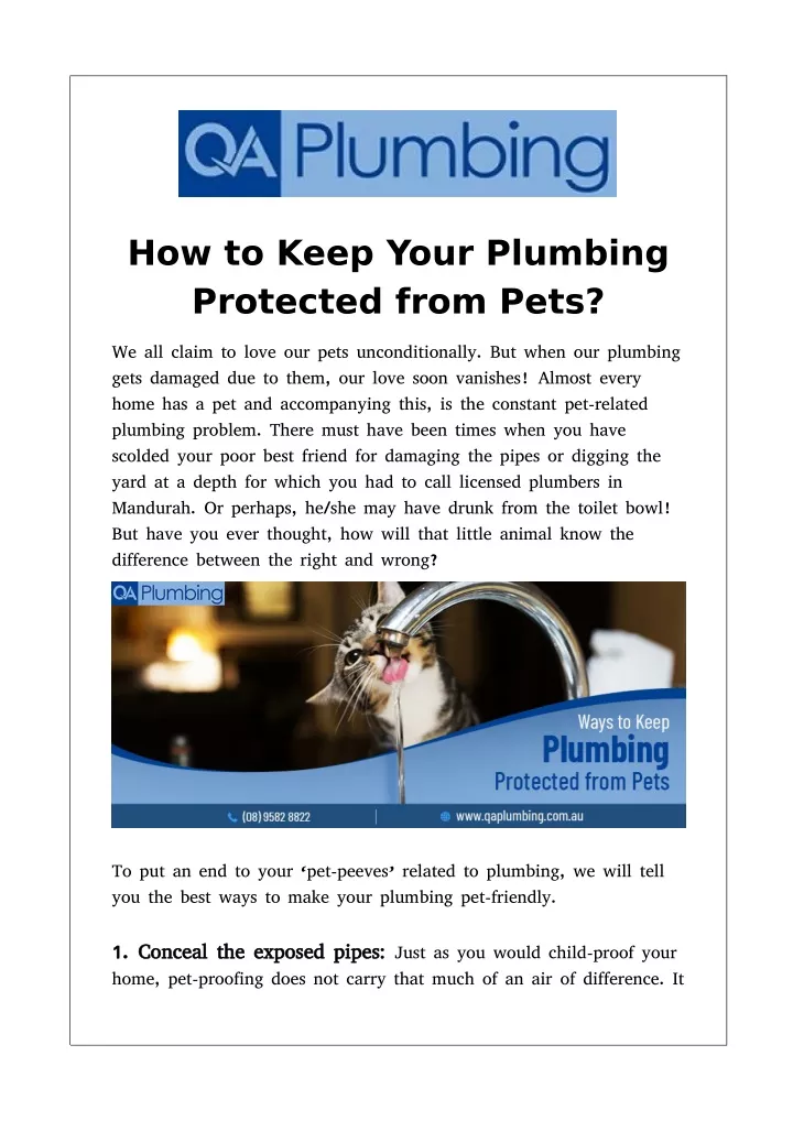 how to keep your plumbing protected from pets