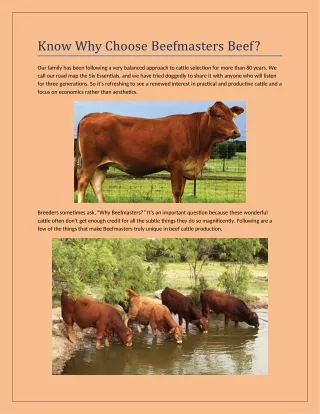 Know Why Choose Beefmasters Beef?